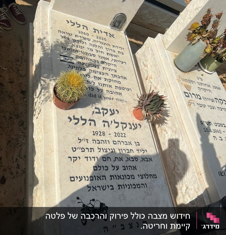 שני מצבות עם כיתוב בעברית וצמחים קטנים
